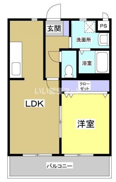 エムズドリームVI(1LDK/1階)の間取り写真