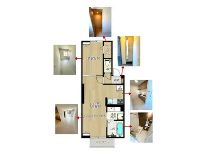 DーROOM ALBA(1LDK/1階)の間取り写真