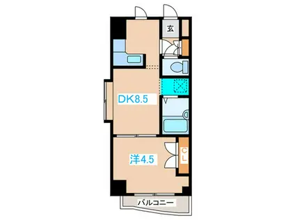 ラスター円山(1DK/6階)の間取り写真