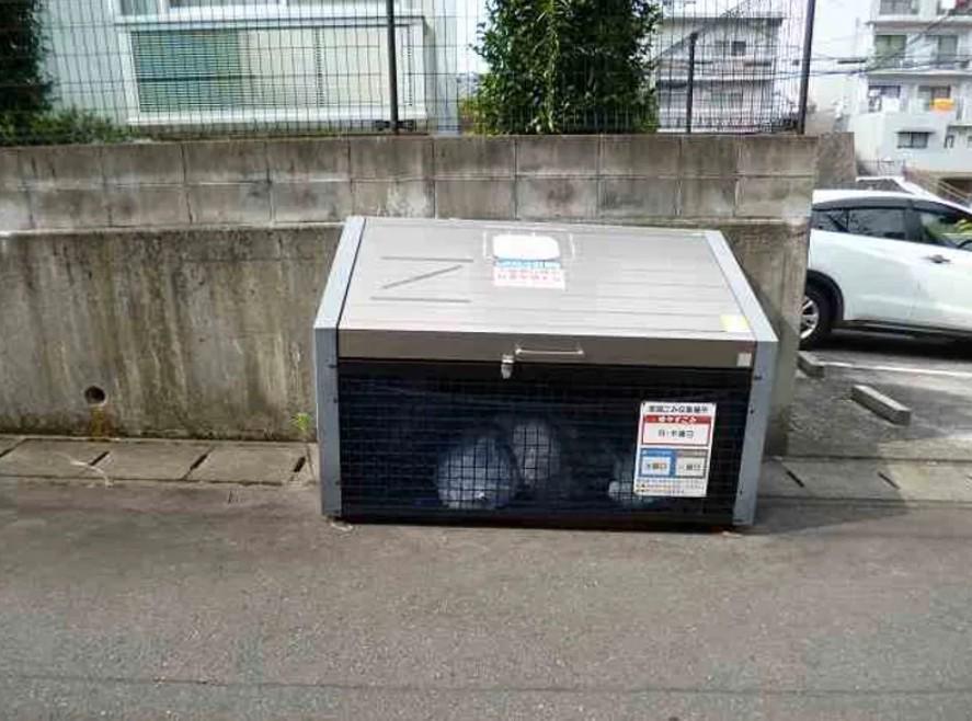 たんぽぽ