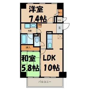 グレース堀田(2LDK/8階)の間取り写真