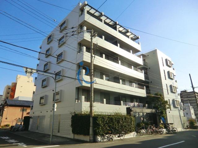 ヴェルヴェデーレII