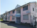 むぎわらぼうし