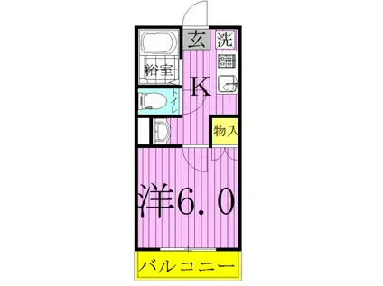 フェニックス柏(1K/2階)の間取り写真