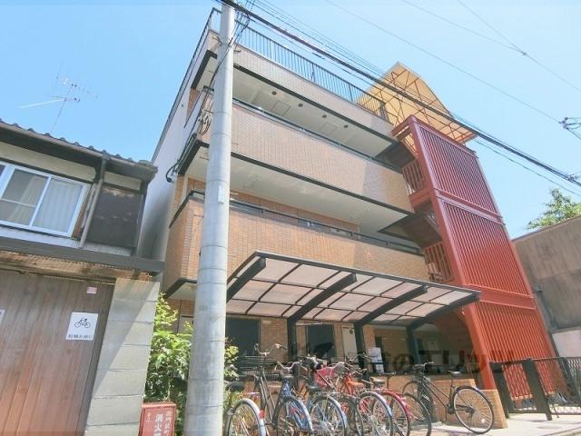 MSイサホ