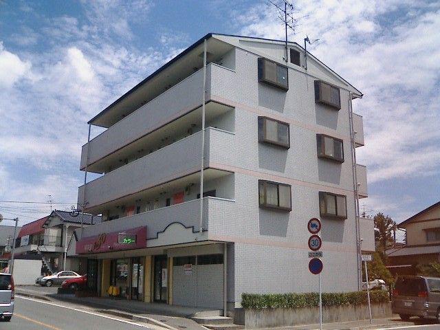 ニューライフマンション南ヶ丘(2LDK/4階)の外観写真