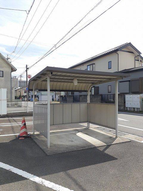 ソリタリーパインA