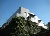 柿の木コート
