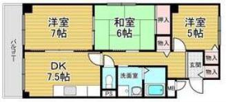 シエルコート南甲子園(3DK/2階)の間取り写真