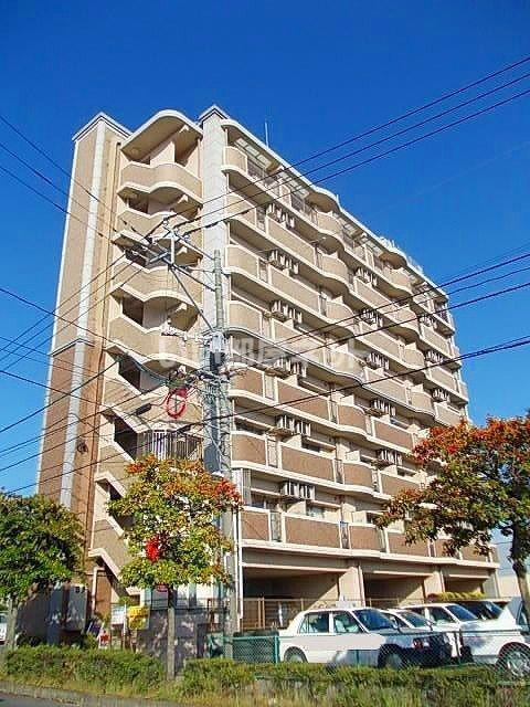 リバーサイド仲畑
