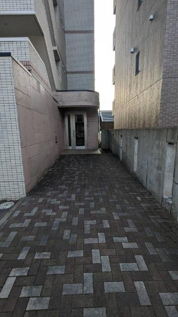 シルフキャメロット