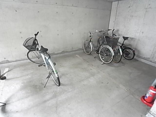 コージコートクイセ