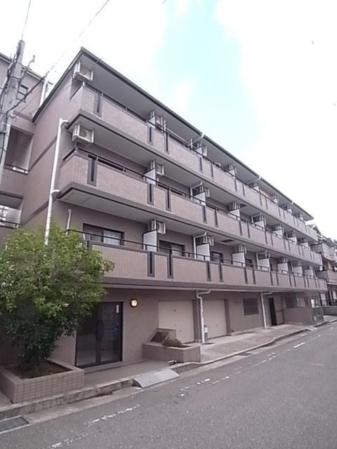 コージコートクイセ