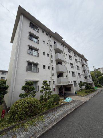 如意谷6号棟(2LDK/3階)