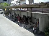 エグゼカーサ