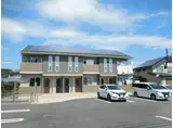 アプリコット