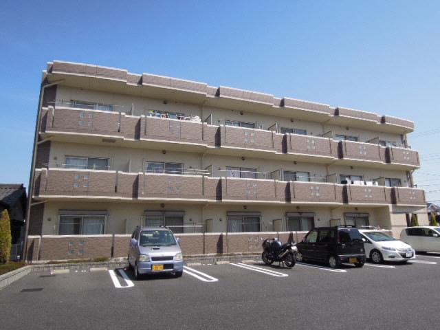 コーディアル さくら
