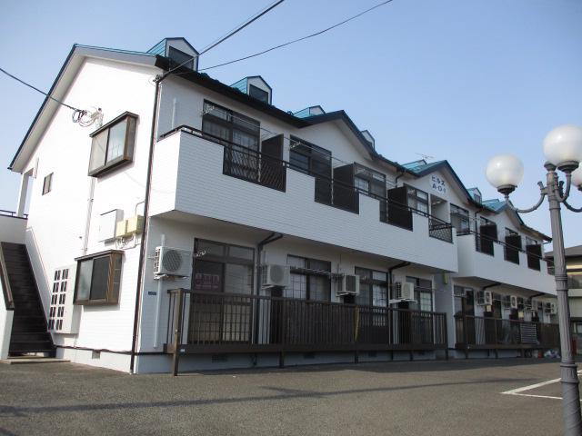 ヒルズアオイ