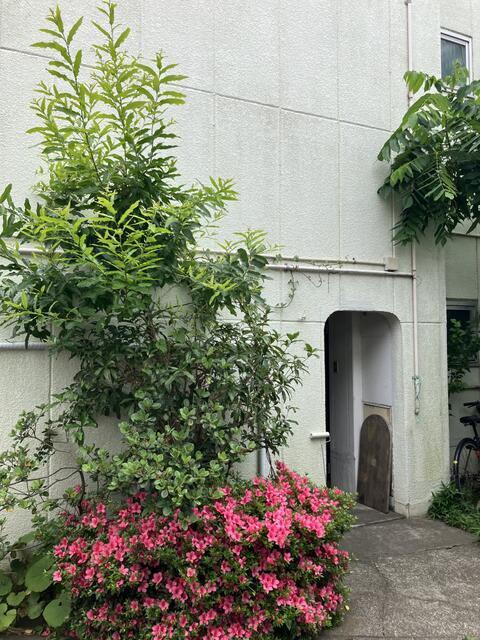 ハイツアサヒ