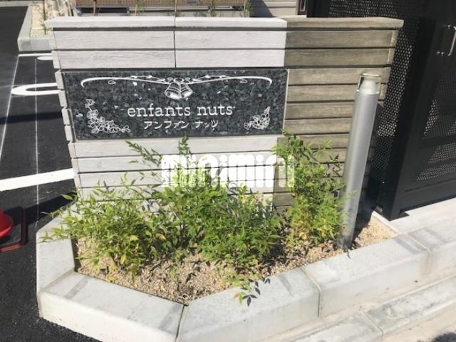 アンファン ナッツ