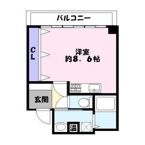 シャトー三和南車崎(ワンルーム/3階)の間取り写真
