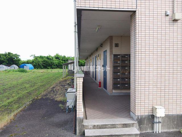 シューフルールVI