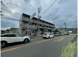 センス森