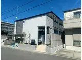 プラシード カメリア