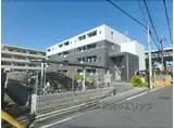 ラ フレシール・ジュネス