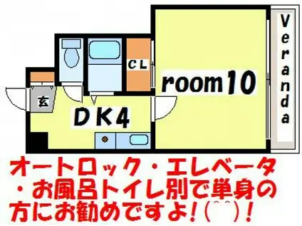 ルミノーソ三篠(1DK/5階)の間取り写真
