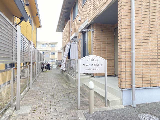 コスモス新舞子