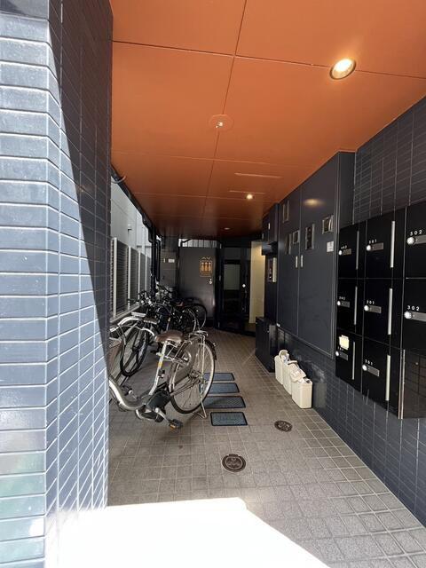 エクセルコート