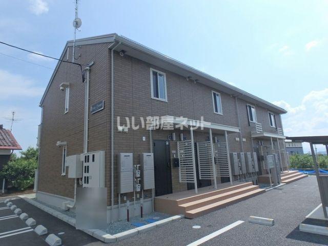 エバーグリーン