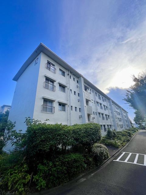 田園青葉台団地12棟(3DK/3階)