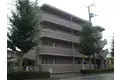 フェンネル