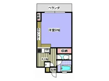 シティーヴィラ玉商(1K/3階)の間取り写真