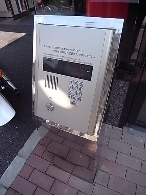 DPAL24甲南山手