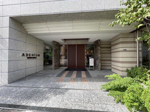 アデニウム東日本橋