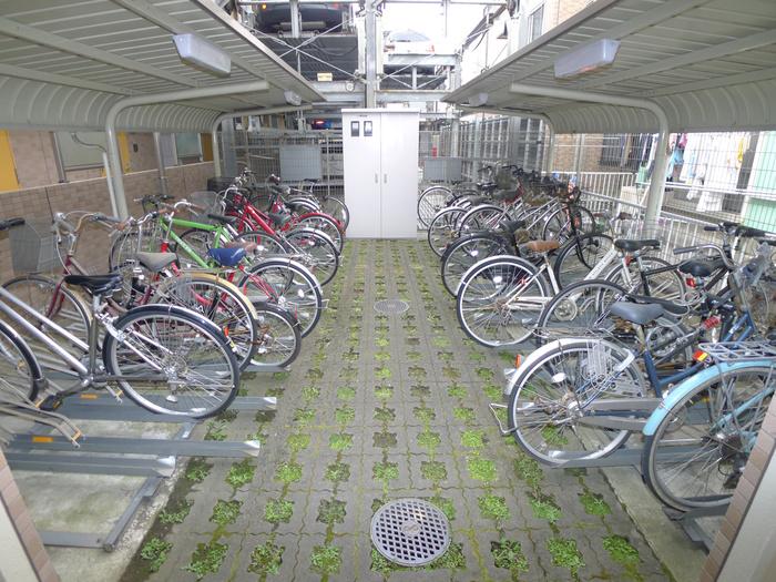 CASSIA市川妙典