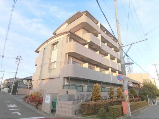 ボナールヒロ