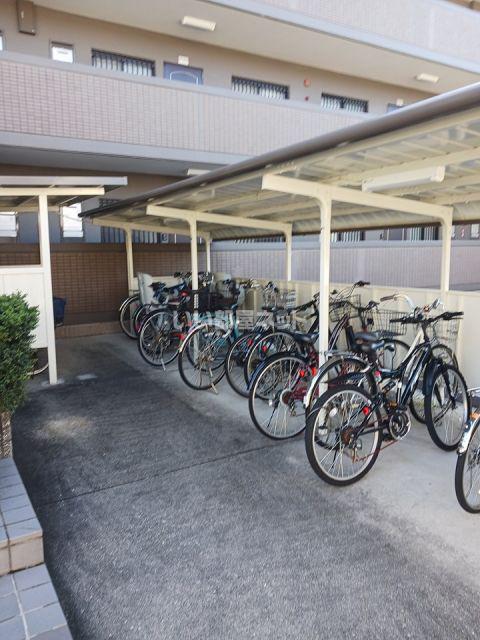 ファンドール