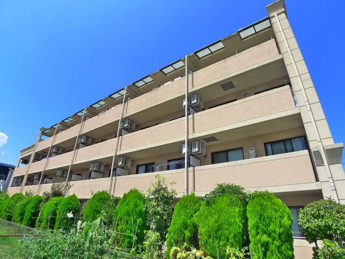 CASA OLIVE