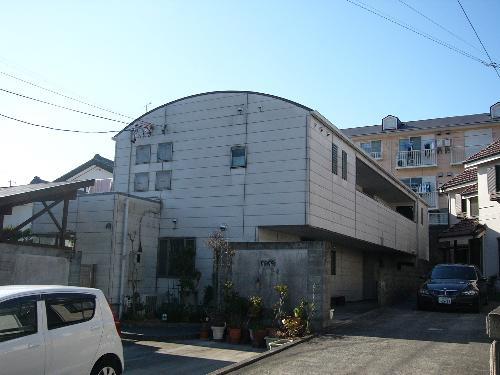 MOMOの実
