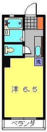 ロジュマンパレス(ワンルーム/2階)の間取り写真