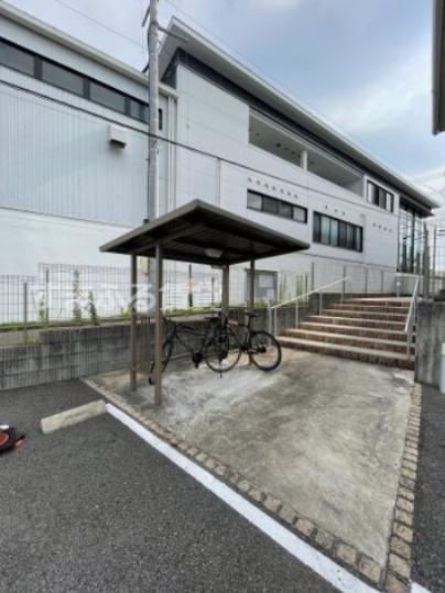 アルヴィータ上地