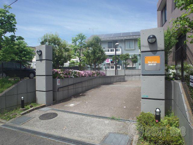 ヴェリタス相模大野