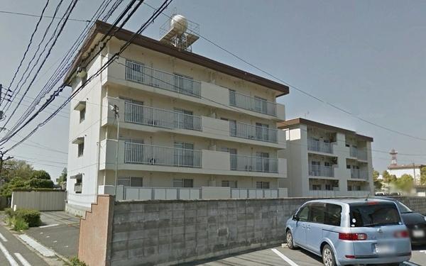 パインツリーA