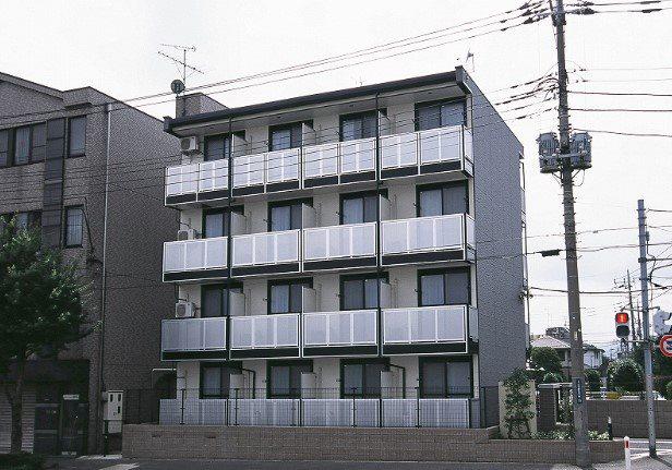 椎の実3