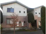 サンガーデン花水木F