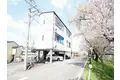 A・Y・A